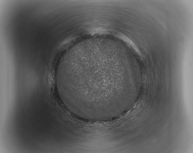 X0000101441063200807211207