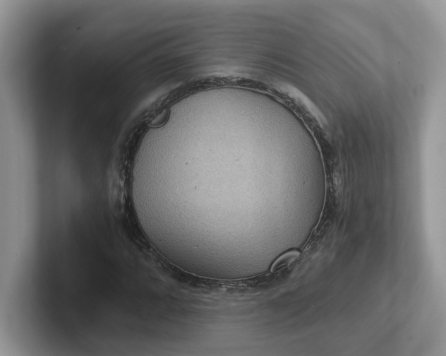 X0000101441064200807211207