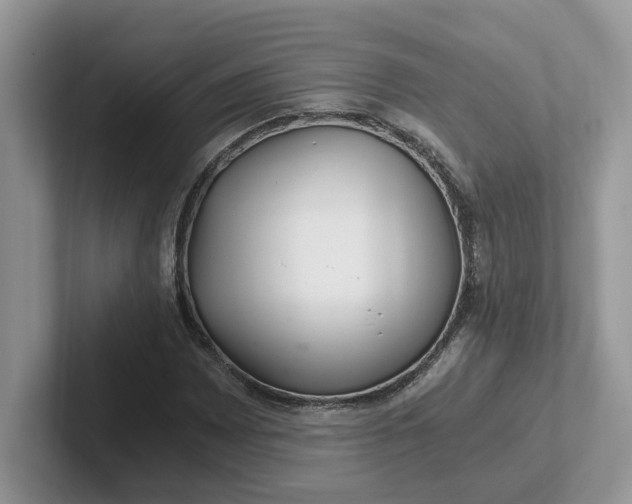 X0000101441065200807211207