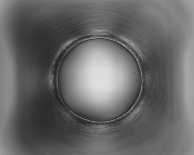 X0000101441066200807211207