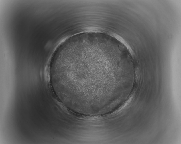 X0000101441067200807211207