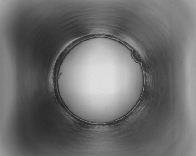 X0000101441068200807211207