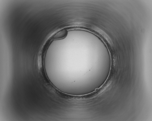 X0000101441069200807211207