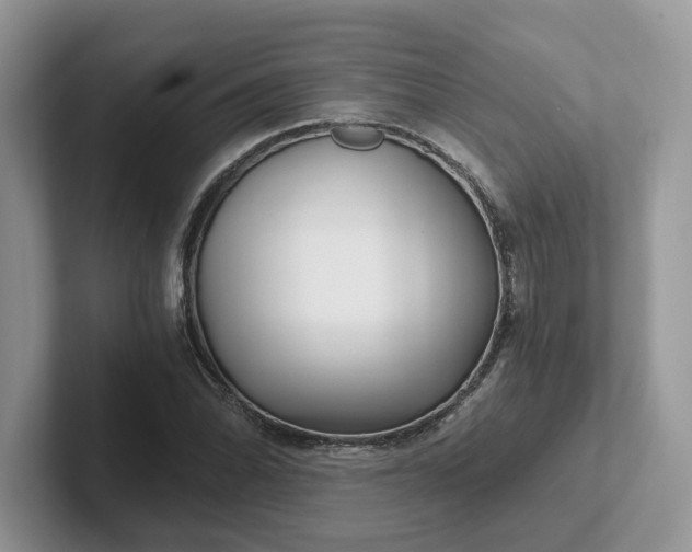 X0000101441070200807211207