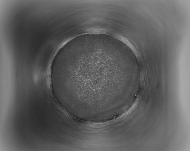 X0000101441071200807211207