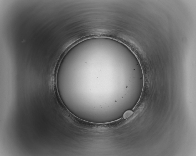 X0000101441073200807211207