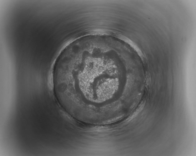 X0000101441075200807211207