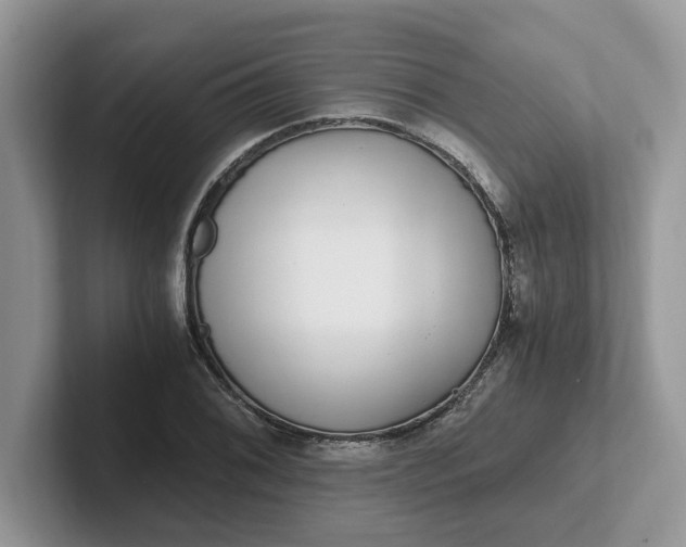 X0000101441076200807211207