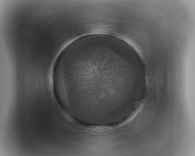 X0000101441077200807211207