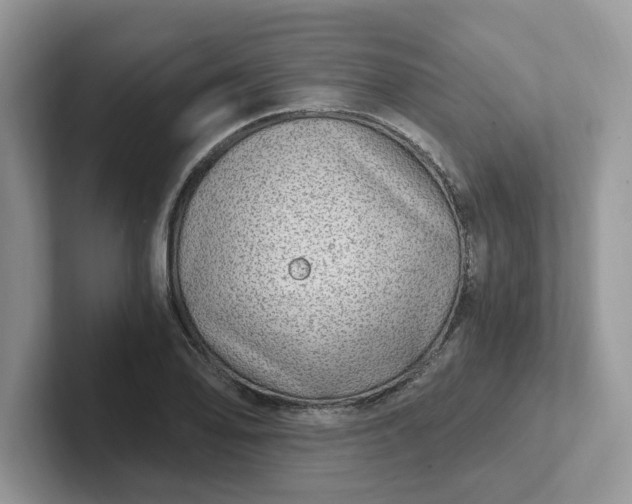 X0000101441078200807211207