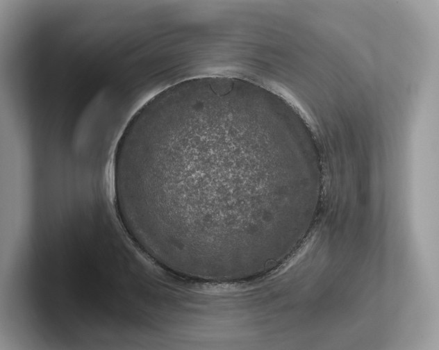 X0000101441079200807211207