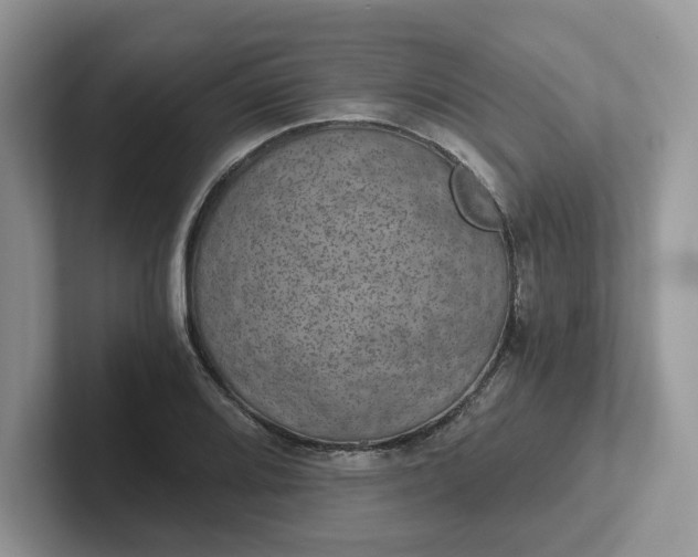 X0000101441080200807211207