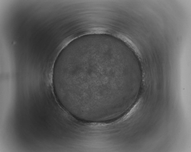 X0000101441081200807211207