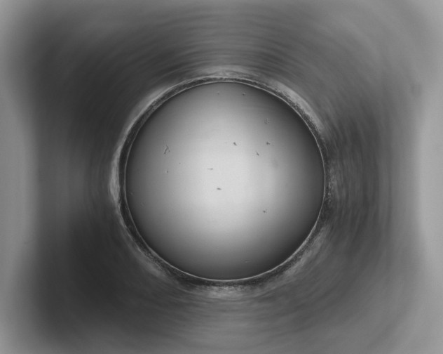 X0000101441082200807211207