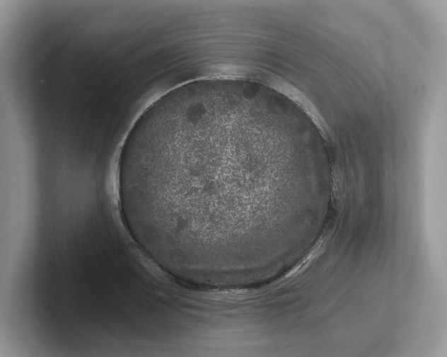 X0000101441083200807211207