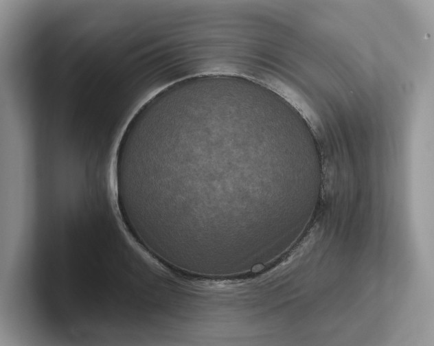 X0000101441084200807211207