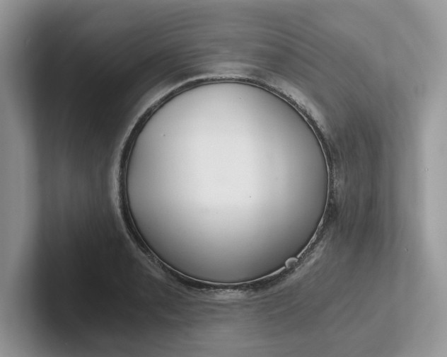 X0000101441085200807211207