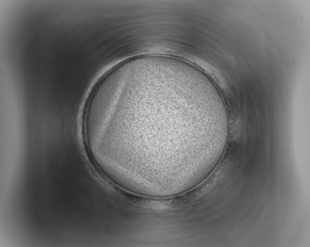 X0000101441086200807211207