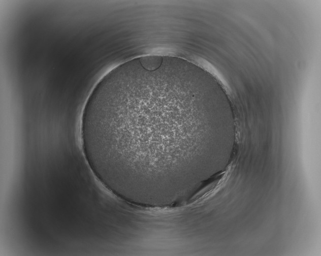 X0000101441087200807211207