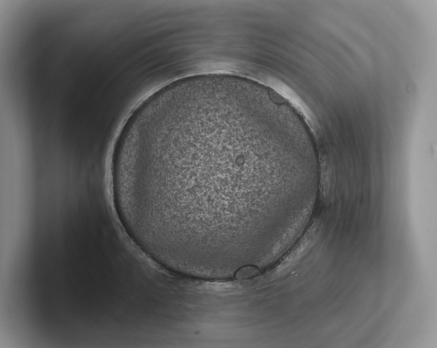 X0000101441088200807211207