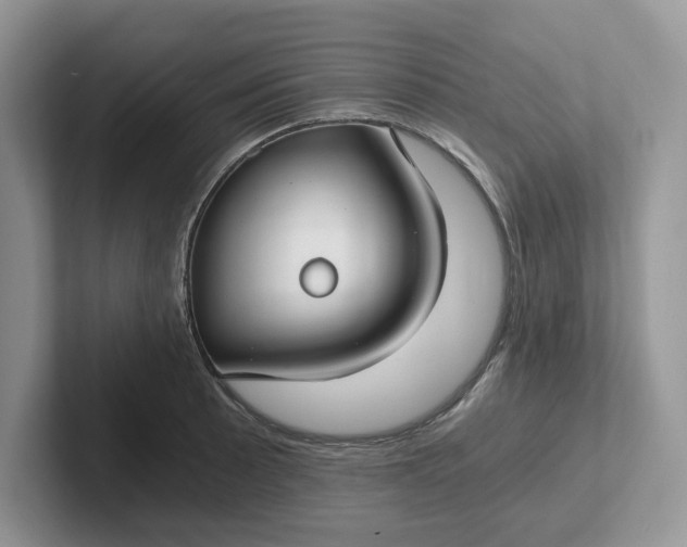 X0000101441089200807211207