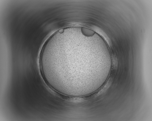 X0000101441090200807211206