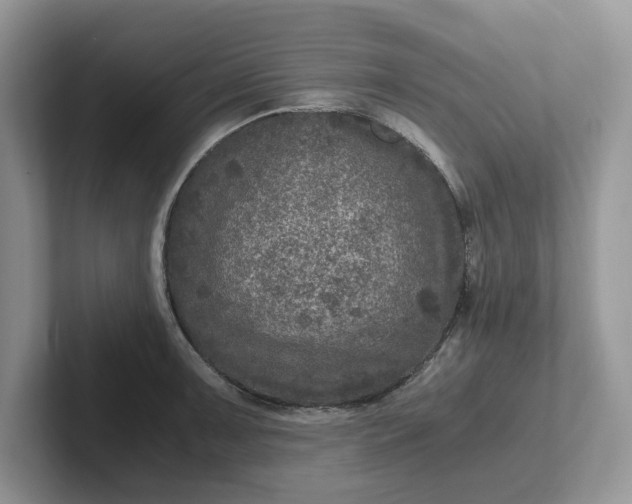 X0000101441091200807211206