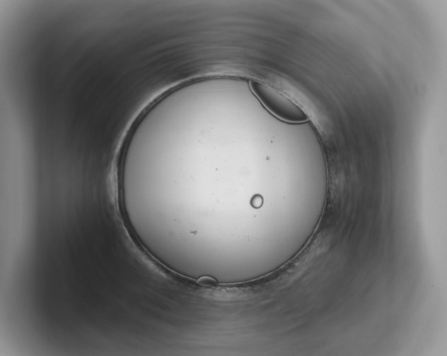 X0000101441092200807211206