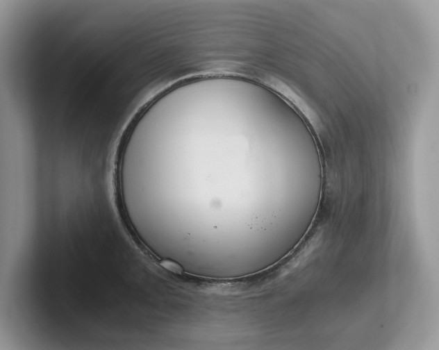 X0000101441093200807211206