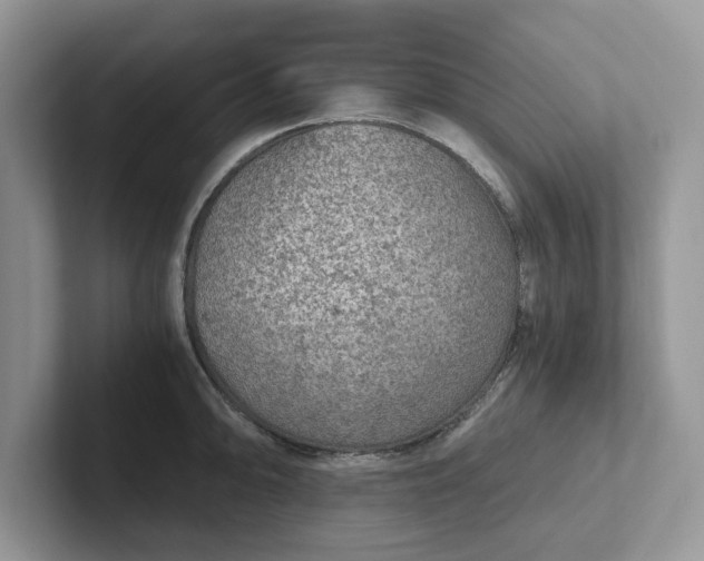 X0000101441094200807211206