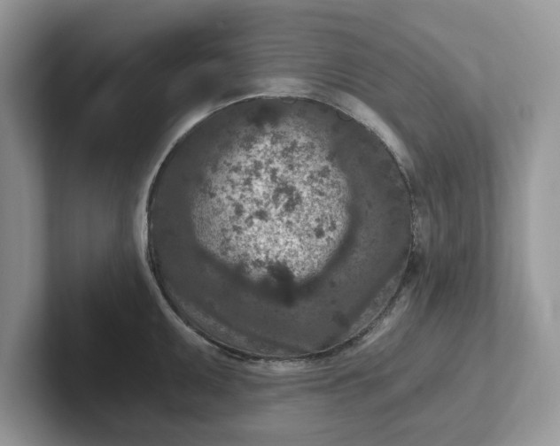 X0000101441095200807211206