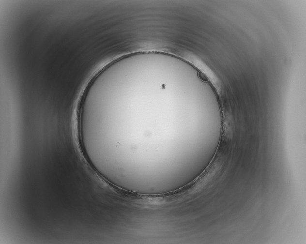 X0000101441096200807211206