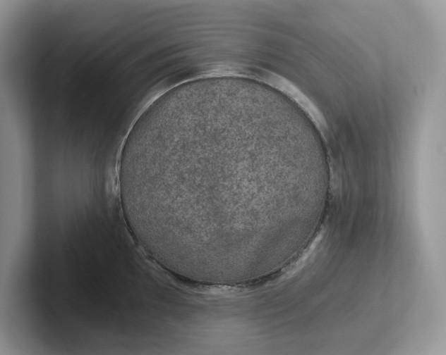 X0000101441097200807211206