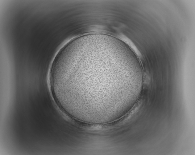 X0000101441098200807211206