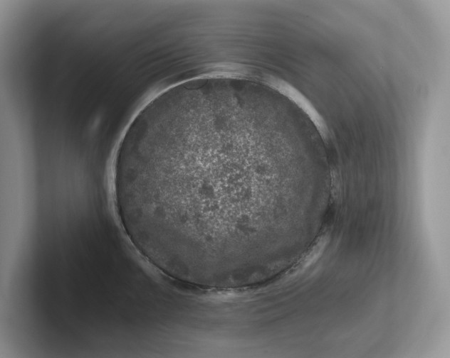 X0000101441099200807211206