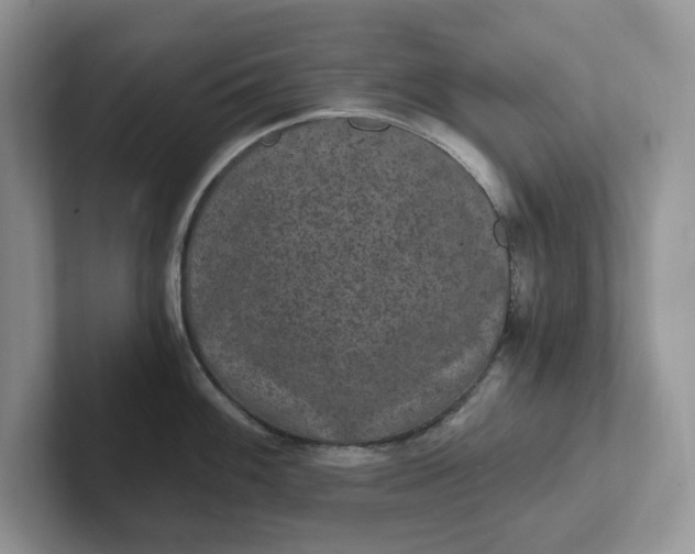 X0000101441100200807211206