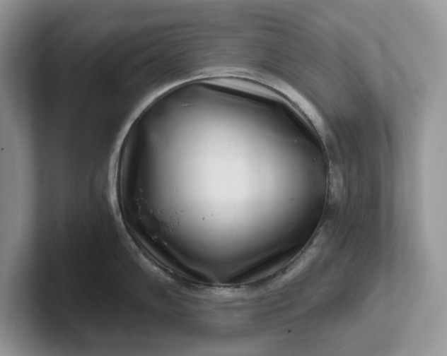 X0000101441102200807211206