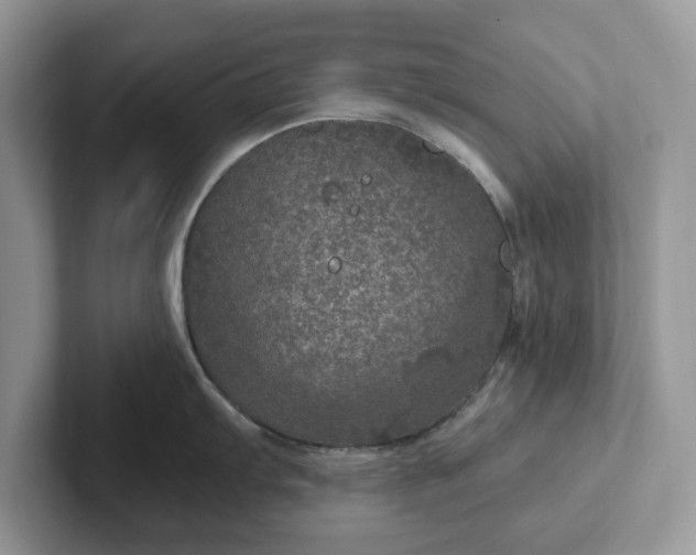 X0000101441103200807211206