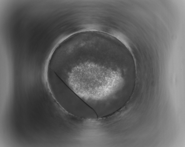 X0000101441104200807211206