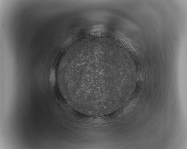 X0000101441106200807211206