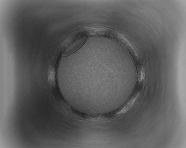 X0000101441108200807211206