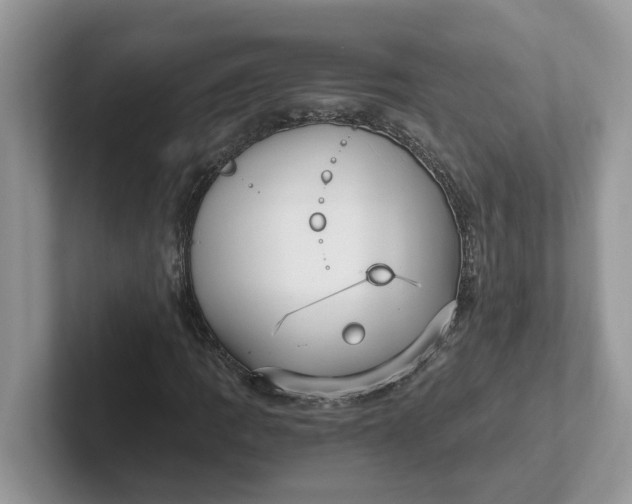 X0000101441109200807211206