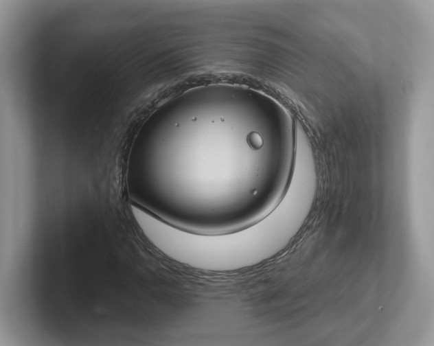 X0000101441110200807211206