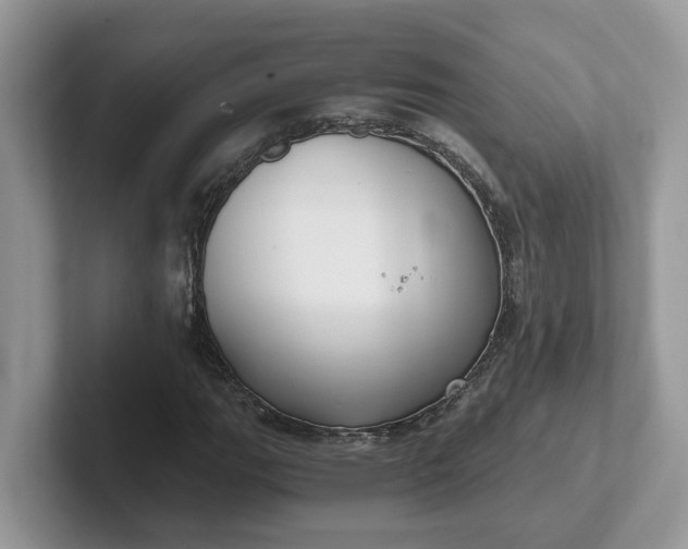 X0000101441111200807211206