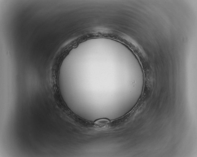 X0000101441112200807211206