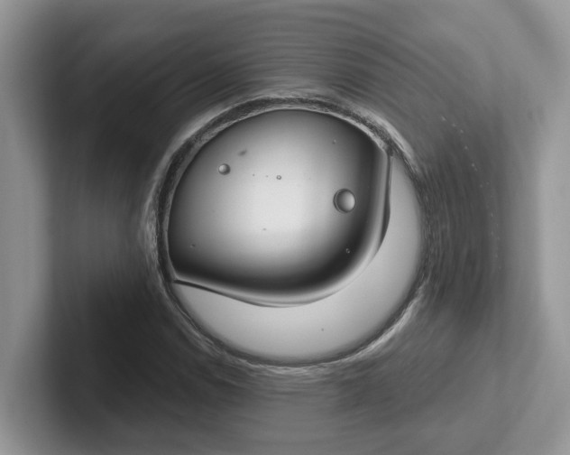 X0000101441114200807211206