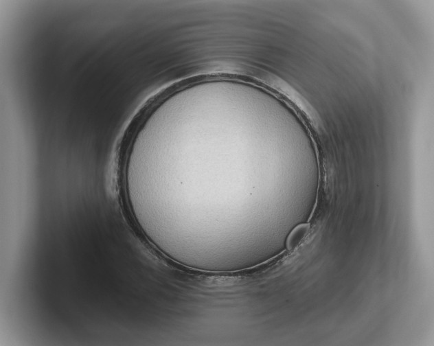 X0000101441116200807211206