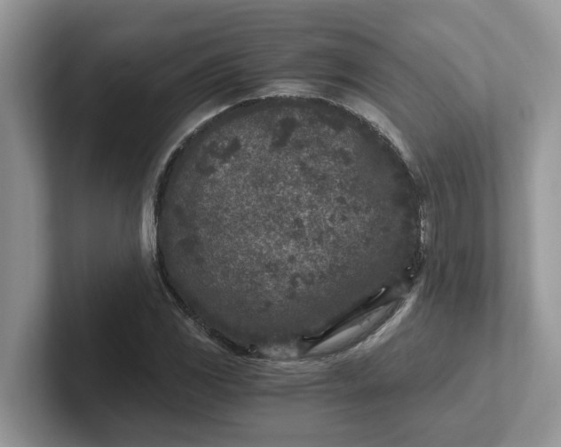 X0000101441117200807211206