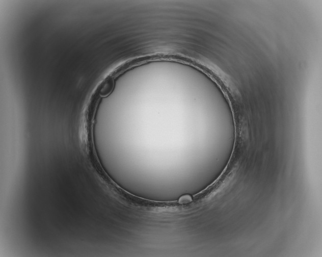 X0000101441118200807211206