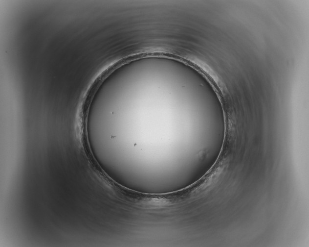 X0000101441119200807211206